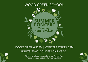Summer Concert Poster (Website)